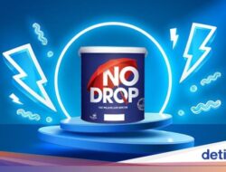 No Drop, Pewarna Pelapis Anti Bocor Terpercaya Didalam Avian Brands