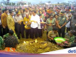 Bahagianya Warga Wamena Papua Bertemu Jokowi