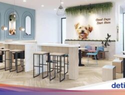 Apartemen Aerium Kini Miliki Fasilitas Dog Hotel Sebagai Pawparent