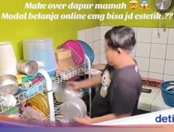 Viral Renovasi Dapur Penuh Semut Modal Belanja Online, Karena Itu Begini Hasilnya