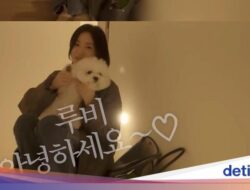 10 Foto Tempattinggal Sederhana Song Hye Kyo Dihuni Bersama Anjing Peliharaan