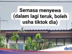 Viral Tempattinggal Disewa Influencer, Kebugaran Before-After Bikin Shock