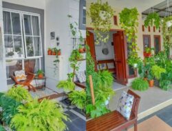 Cara Menata Tanaman Hias Ke Teras Rumah agar Asri dan Estetik