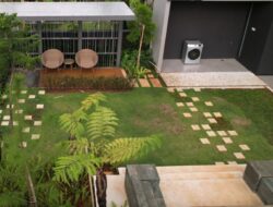 8 Desain Taman Di Rumah yang Asri dan Mudah Dirawat