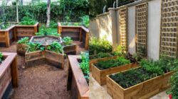 5 Desain Kebun Sayur Dibelakang Rumah​ yang Rapi dan Estetik