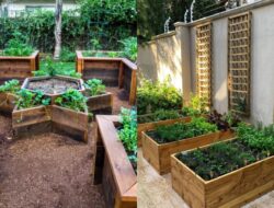 5 Desain Kebun Sayur Dibelakang Rumah​ yang Rapi dan Estetik