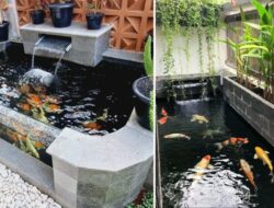 Inspirasi Kolam Ikan Koi Di Tempattinggal yang Cantik dan Menenangkan