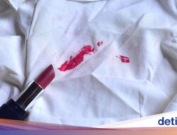 Tips Menghilangkan Noda Tatarias Hingga Baju, Mudah dan Cepat