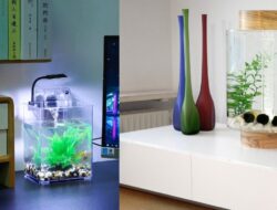 5 Ide Aquarium Mini Hingga Kamar Tidur yang Unik dan Aesthetic