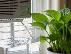 Manfaat dan Risiko Menggunakan Air AC Bagi Tanaman Ke Rumah