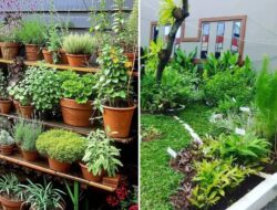 5 Contoh Desain Taman Toga Maksimalis dan Kreatif Di Rumah | Panduan & Rujukan