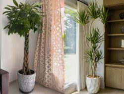 10 Pohon Untuk Rumah yang Bikin Ruangan Hidup
