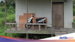 Viral Tempattinggal Anti Sombong, Di Luar Tampak Biasa Dalamnya Bikin Takjub