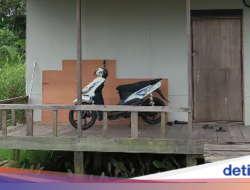 Viral Tempattinggal Anti Sombong, Di Luar Tampak Biasa Dalamnya Bikin Takjub