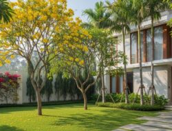 8 Pohon yang Bagus Ditanam Ke Didepan Tempattinggal