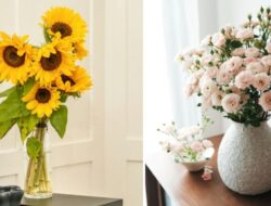 7 Jenis Bunga Aesthetic Sebagai Mempercantik Tempattinggal