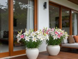 5 Bunga Pembawa Keberuntungan Untuk Tempattinggal