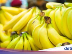 Tips Menyimpan Pisang agar Tidak Cepat Busuk, Bisa Konsisten 2 Minggu