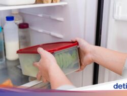 Minuman Cepat Basi Padahal Disimpan Ke Kulkas? Bisa Jadi Ini Penyebabnya!