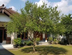 5 Tanaman Penangkal Santet Untuk Kearifan Lokal Jawa