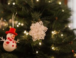 5 Jenis Tanaman Natal yang Bikin Dekorasi Rumah Lebihterus Bermakna