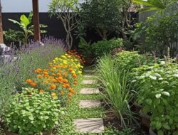 5 Tanaman Pengusir Hama yang Efektif dan Mudah Ditanam Ke Tempattinggal