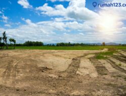 10 Cara Memanfaatkan Lahan Kosong Sebagai Menghasilkan Cuan