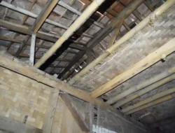 Inisiatif BSPS Tahun 2026 Diharapkan Terjadi Pemerataan Renovasi Tempattinggal Di Semua Kabupaten