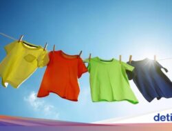 5 Tips agar Cucian Nggak Bau Apek Meski Cuaca Kurang Bersahabat