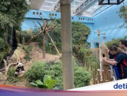 5 Rekomendasi Kegiatan Seru Liburan Bertema ‘Nature Escape’ Ke Singapura