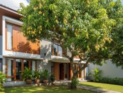 Rahasia Tanaman Berbuah Lebat Sebagai Budidaya Rumahan