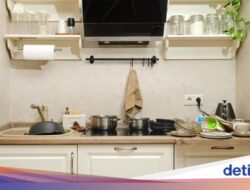 Dish Dryer Vs Lap Manual, Mana yang Lebih Higienis Bersihkan Alat Makan?