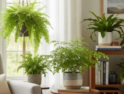 5 Jenis Tumbuhan Spike Untuk Hiasan Rumah