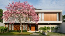 4 Jenis Pohon Tabebuya yang Cocok Sebagai Halaman Rumah