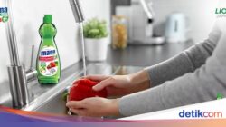 Kenali Manfaat Lime dan Lemon Untuk Kebersihan Peralatan Dapur