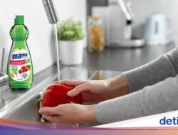 Kenali Manfaat Lime dan Lemon Untuk Kebersihan Peralatan Dapur