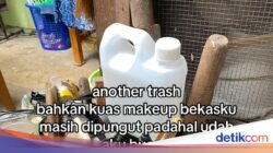 Viral 2,5 Juta Views! Wanita Curhat Hidup Hingga Keluarga Hoarding, Bikin Tekanan