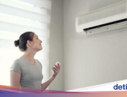 Musim Pancaroba, Ini 5 Cara Jaga Keadaan & Jaga Kelembapan Hingga Rumah