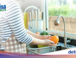 Kenapa Lime dan Lemon Sering Dipakai Bagi Bersih-bersih Rumah?