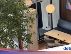 Hangout Cantik Hingga Raindear Bogor, Ada Pohon Indoor dan Menu Terbaru