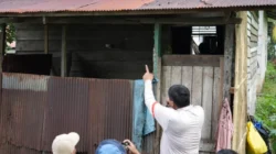 Kementerian PKP Percepat Kuota Bedah Tempattinggal Hingga Kaltim Hingga 3.000 Unit