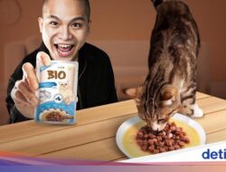 Bio Warna, Pet Food Premium Bernutrisi Lengkap Untuk Kucing Picky Eater