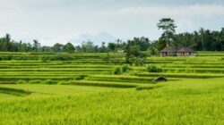 Tata Cara dan Syarat Pengeringan Tanah Di BPN