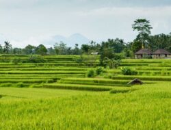 Tata Cara dan Syarat Pengeringan Tanah Di BPN