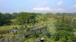 Green Living Ke BSD City Diperkuat, Wujudkan Kota Modern Berkelanjutan Ke Indonesia