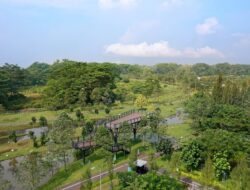 Green Living Ke BSD City Diperkuat, Wujudkan Kota Modern Berkelanjutan Ke Indonesia