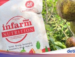 Tak Perlu Lahan Luas, Ini Cara Berkebun Didalam Tempattinggal