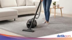 Tempattinggal Terlihat Bersih Belum Tentu Sehat, Ini Alasannya