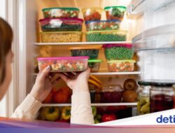3 Kesalahan Individu Menyimpan Hidangan yang Bikin Kulkas Karena Itu Sarang Bakteri