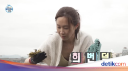 Potret Tempattinggal Sederhana Yuri SNSD, Nikmati Slow Living Hingga Pulau Jeju
